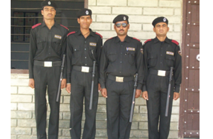 on-time-job-in-Nexus-Jaipur